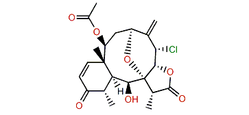 Briarenol W